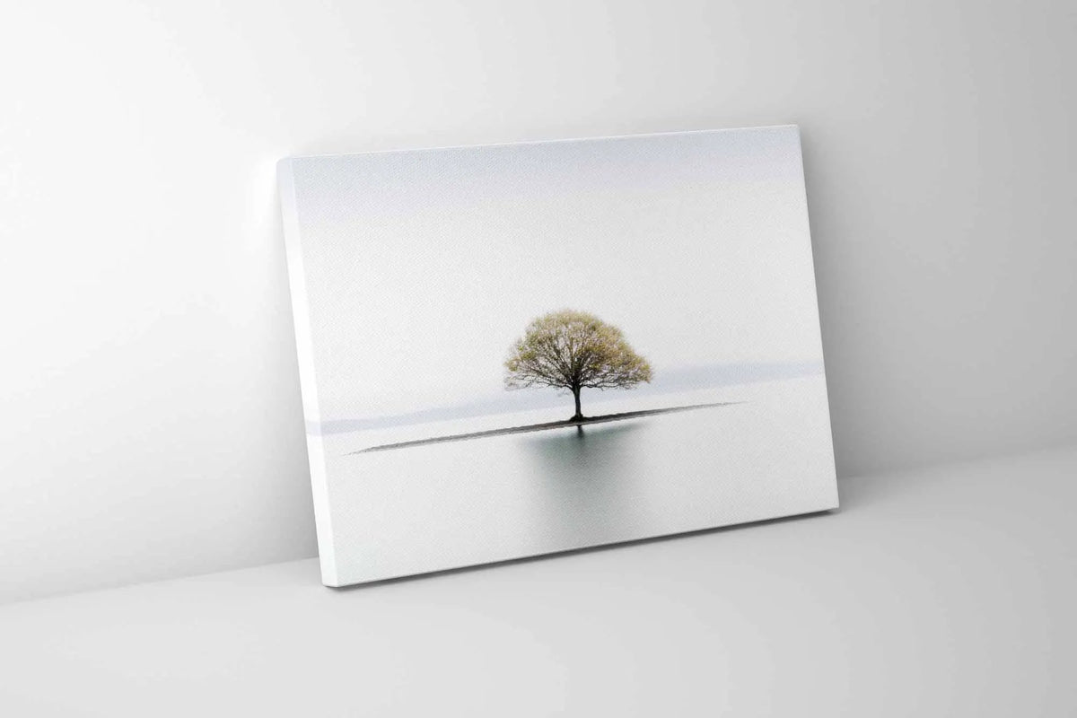 Canvas Print-Solitude-Wall Art by Gtaart.ca