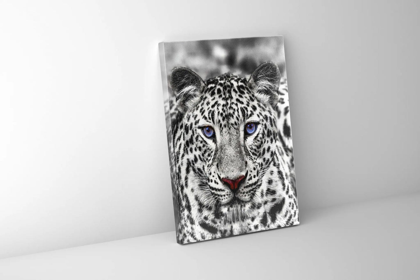Canvas print-Blue Eyed White Tiger- Wildlife art by Gtaart.ca