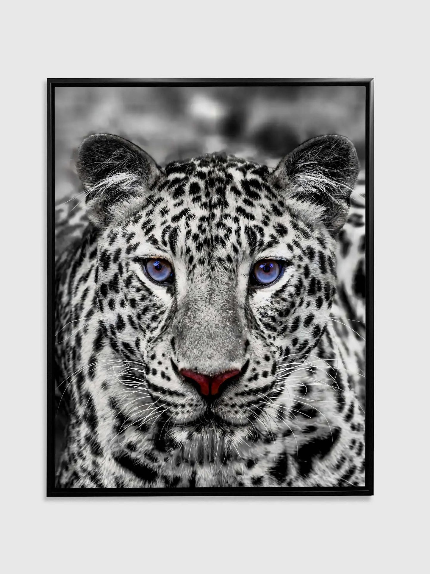Canvas print-Blue Eyed White Tiger- Wildlife art by Gtaart.ca