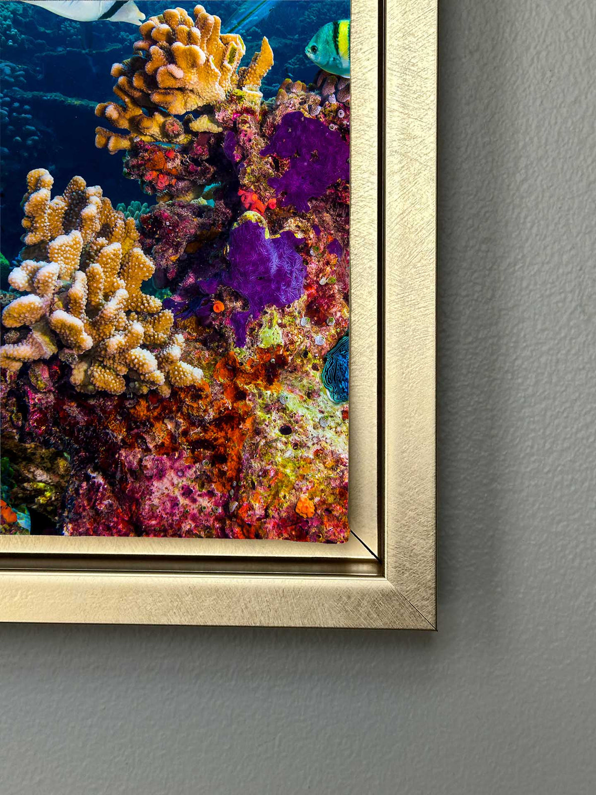 Canvas Print-Below the Surface-Wall Art by Gtaart.ca