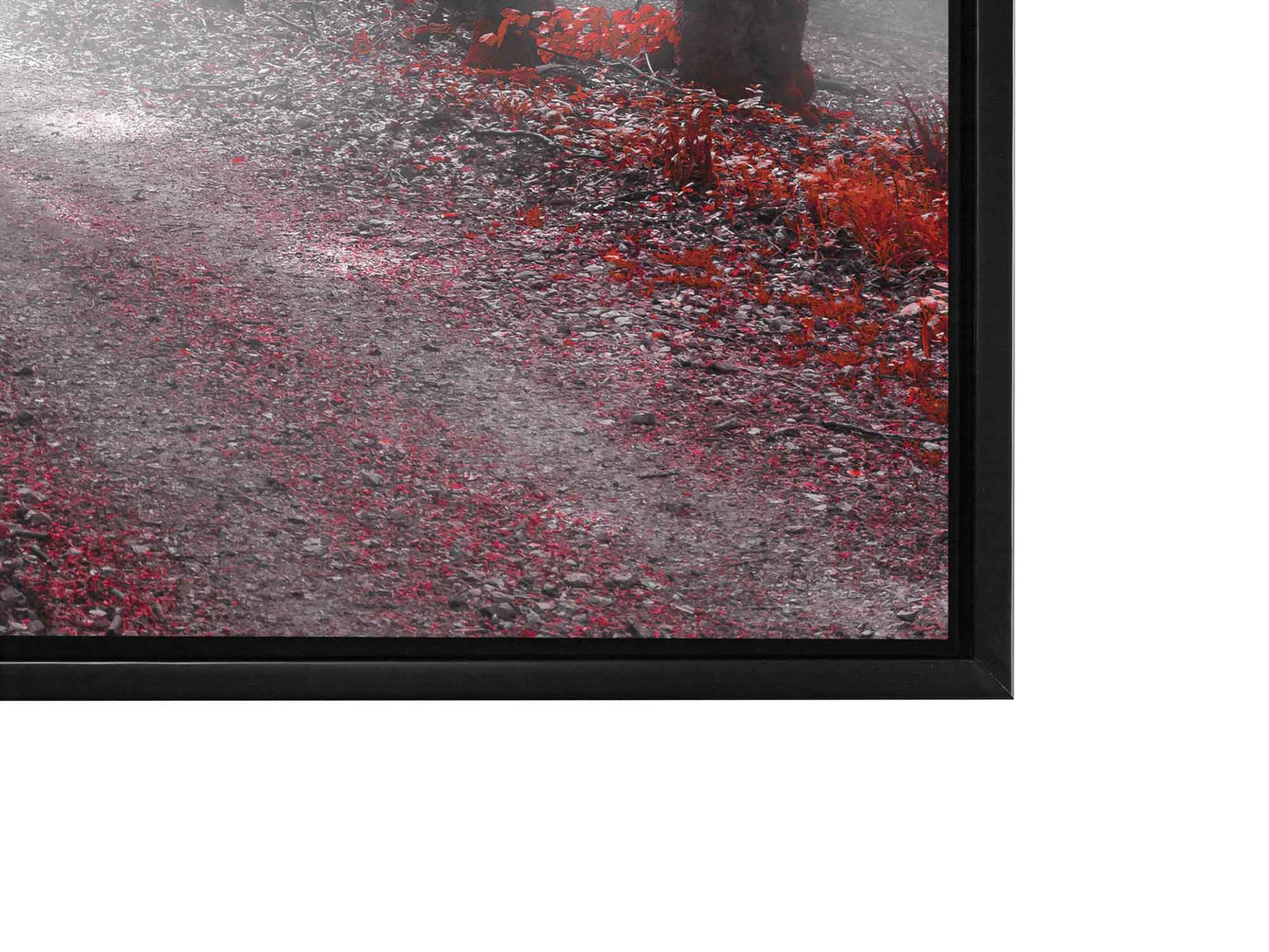 Printed Artwork-Red Isolate Forest-Wall decor by Gtaart.ca