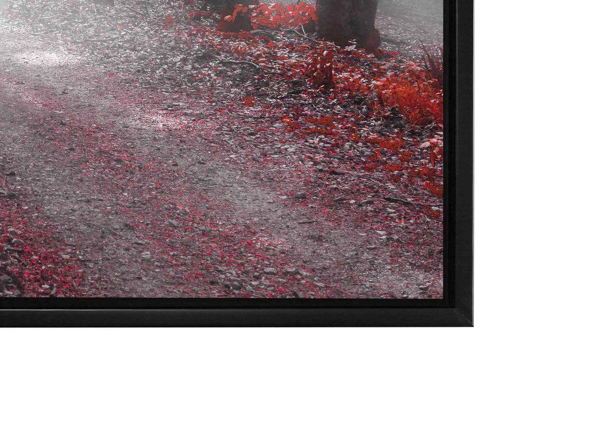 Printed Artwork-Red Isolate Forest-Wall decor by Gtaart.ca