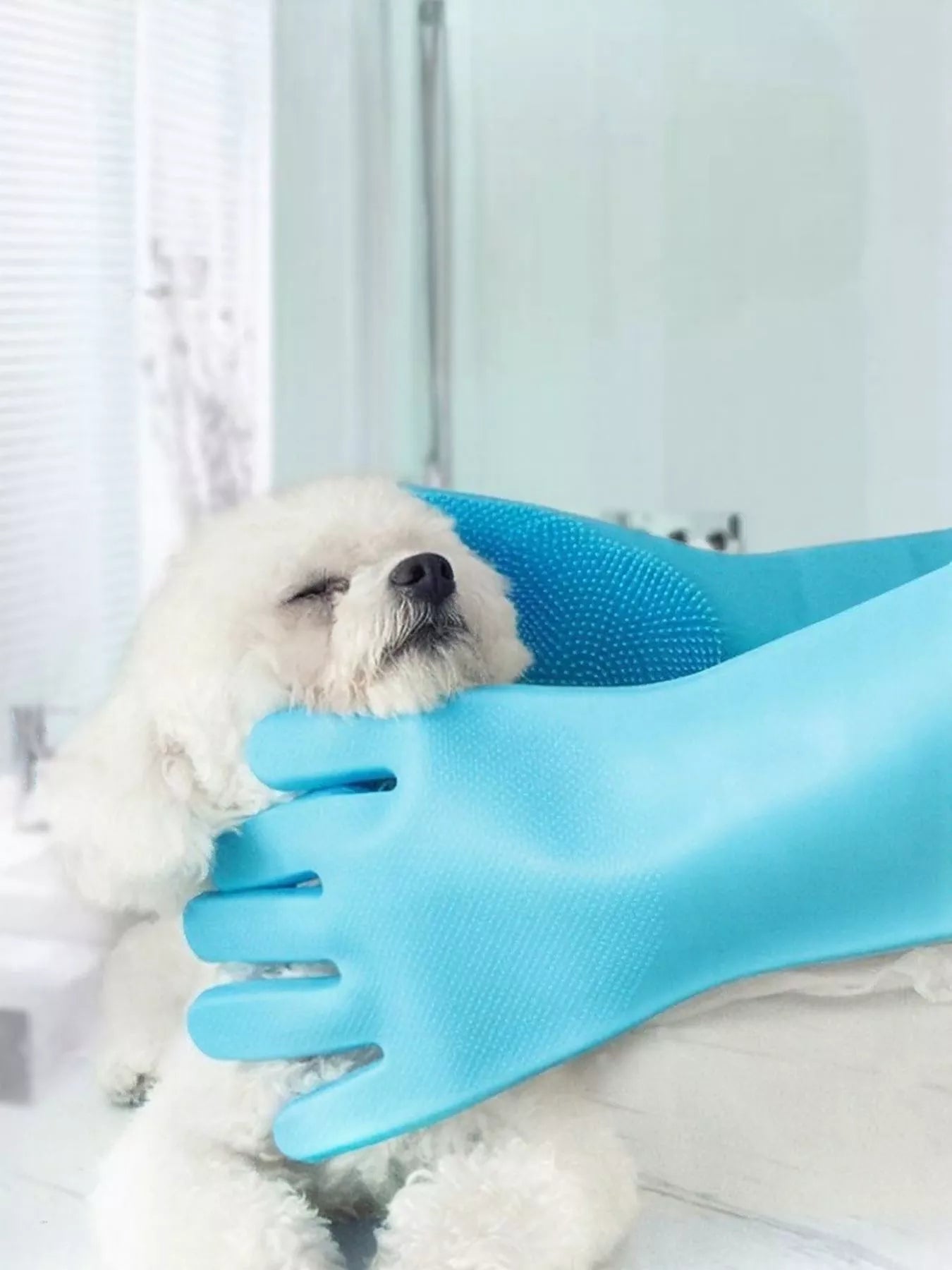 4b51746d-46df-49fd-8b72-9212a751e45e-Max-Origin