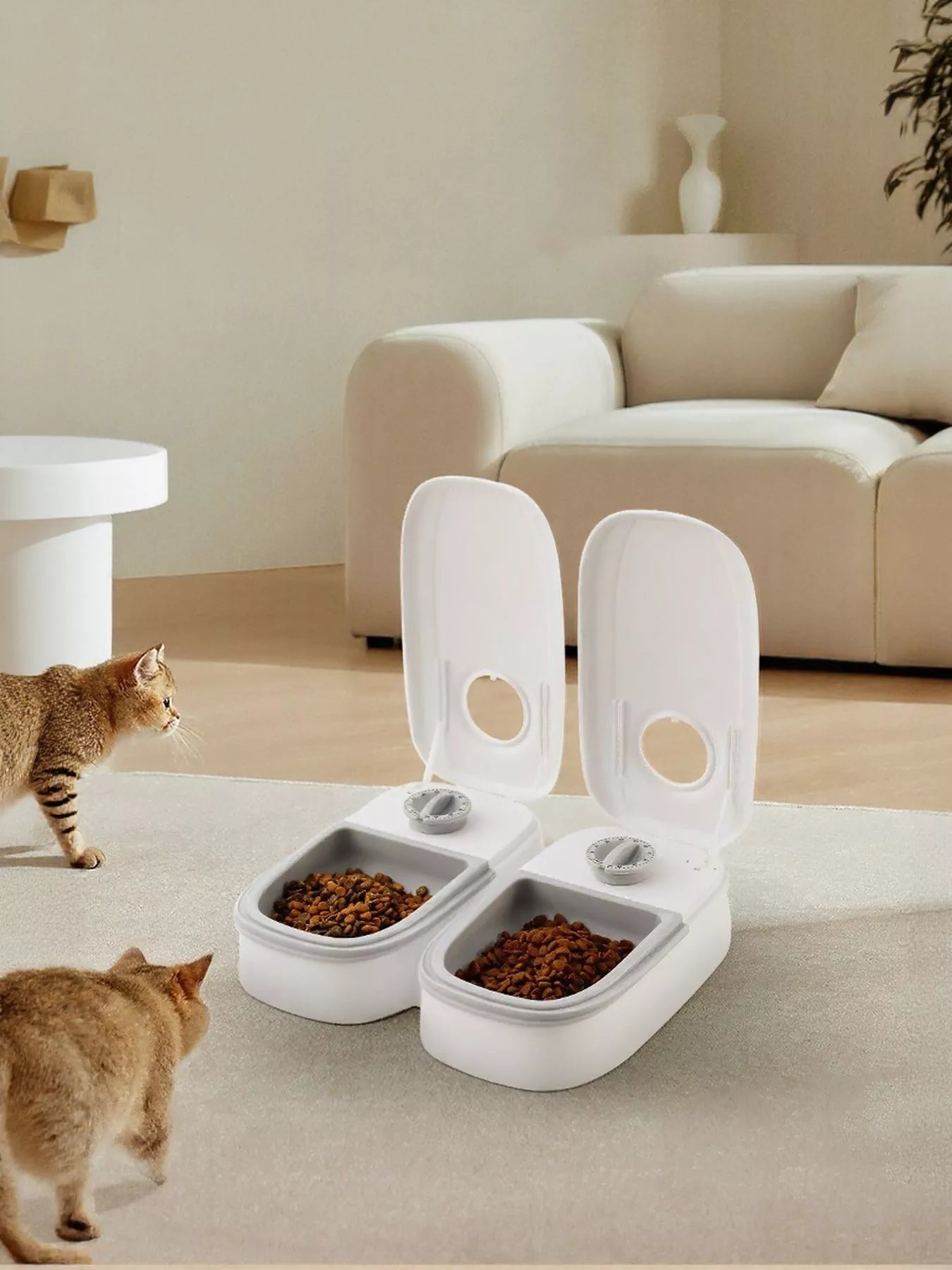 4edc54cf-ddc3-4c8f-a7e3-c1ac88a6857f-Max-Origin