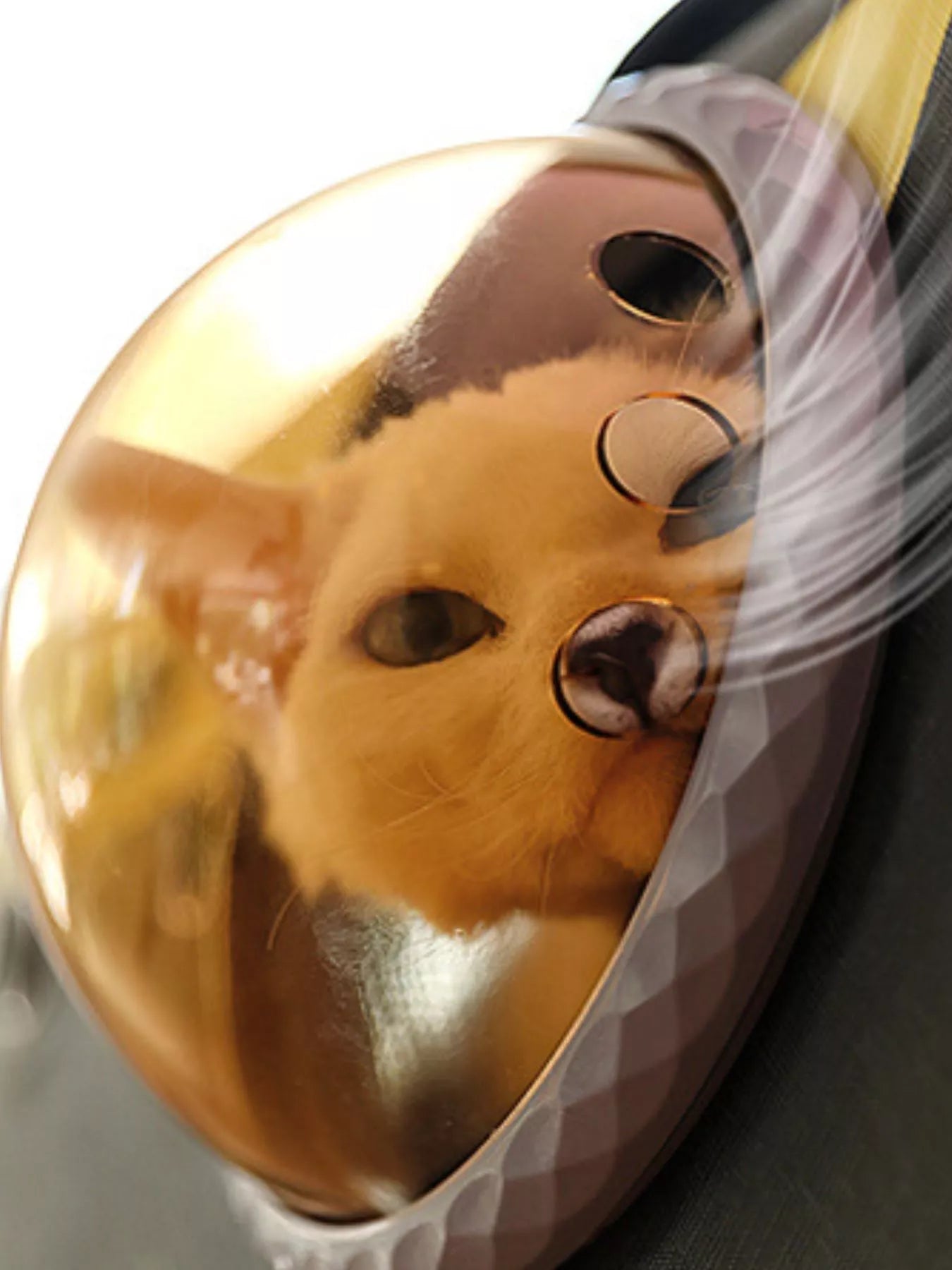 5d0a38ed5afa44e693cfc5c4a70a454c-Max-Origin