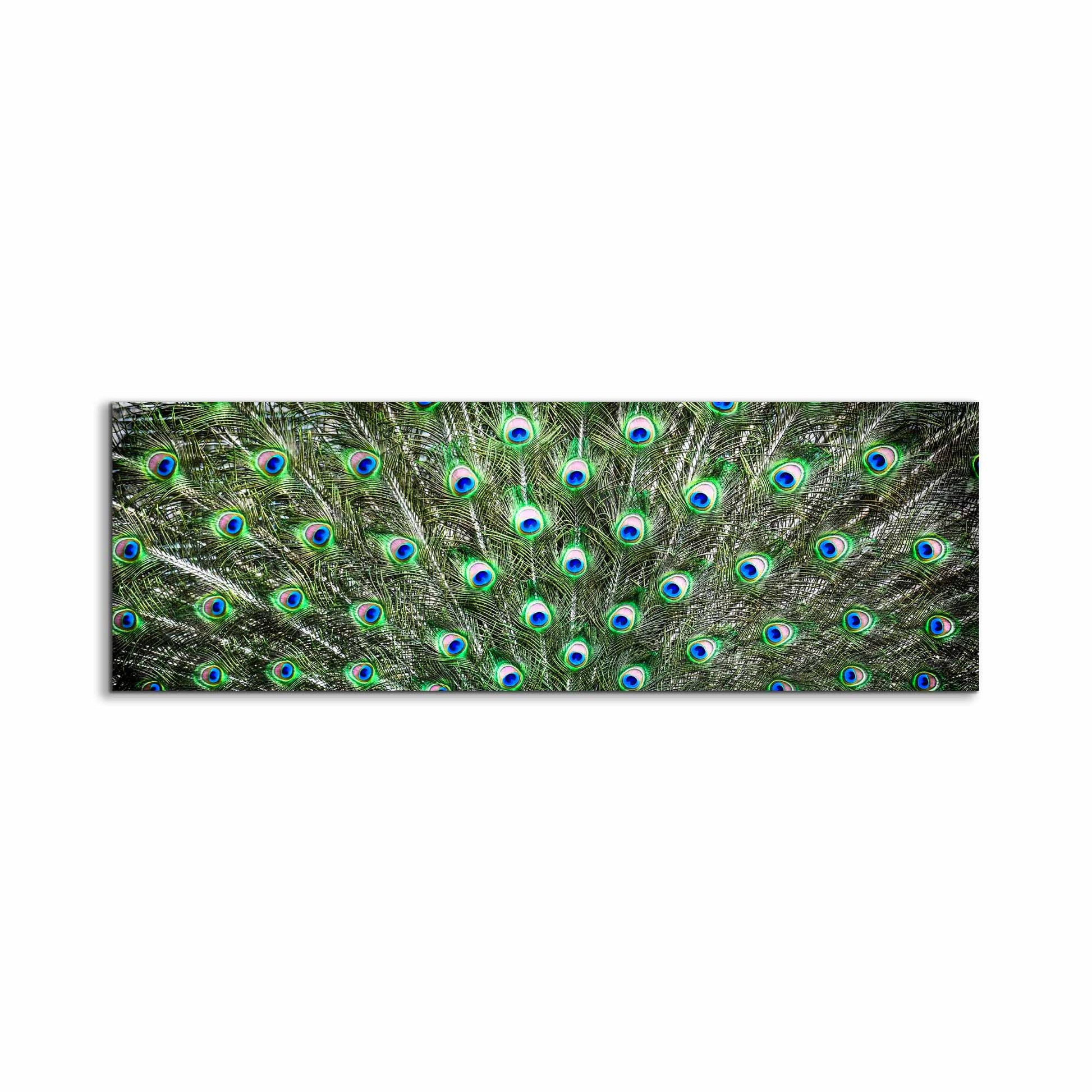Large Canvas Wall art-Peacock Feathers-Nature Artwork by Gtaart.ca