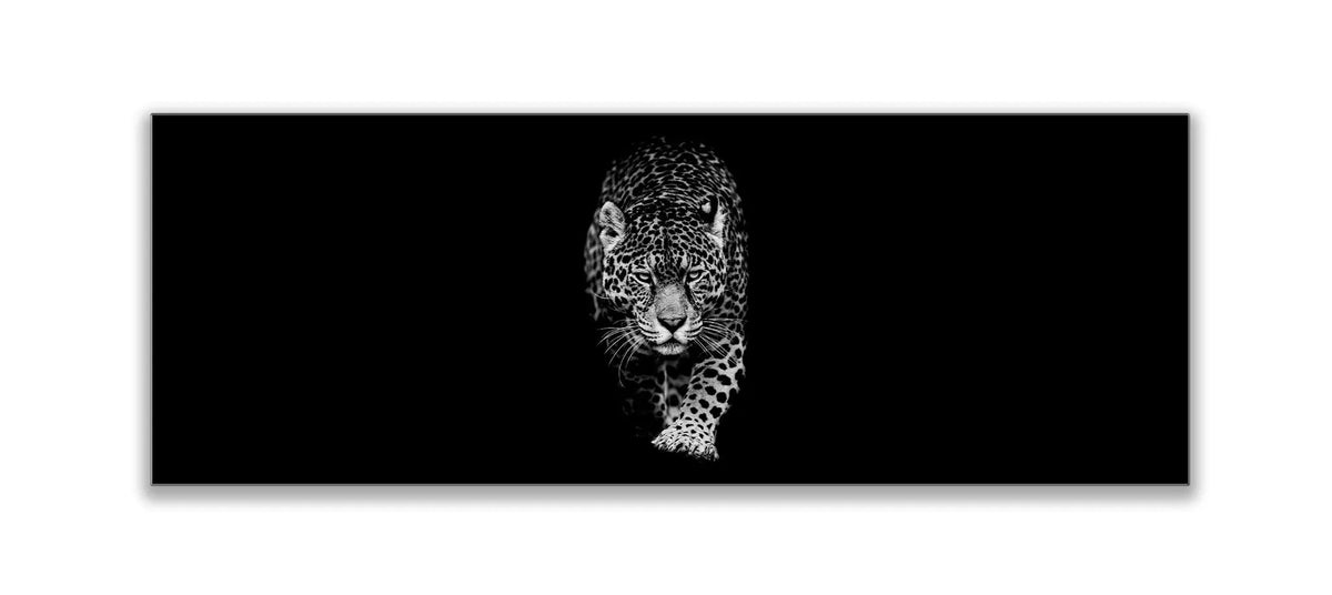 Leopard in Black & White 72" x 24" by GTAART.CA