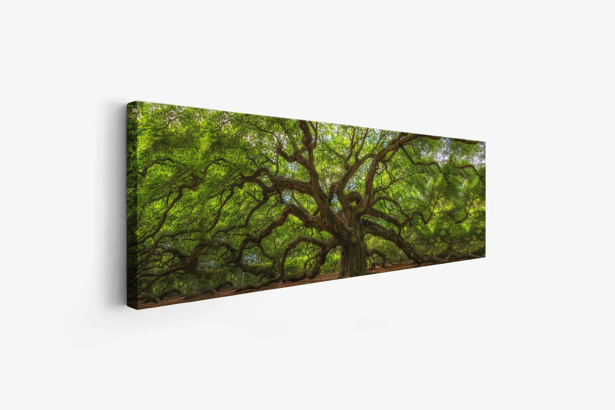 Angel Tree 72" x 24" Fine Art Canvas Print by GTAART.CA