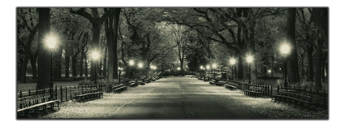 The Mall in Central Park 72" x 24" by GTAART.CA
