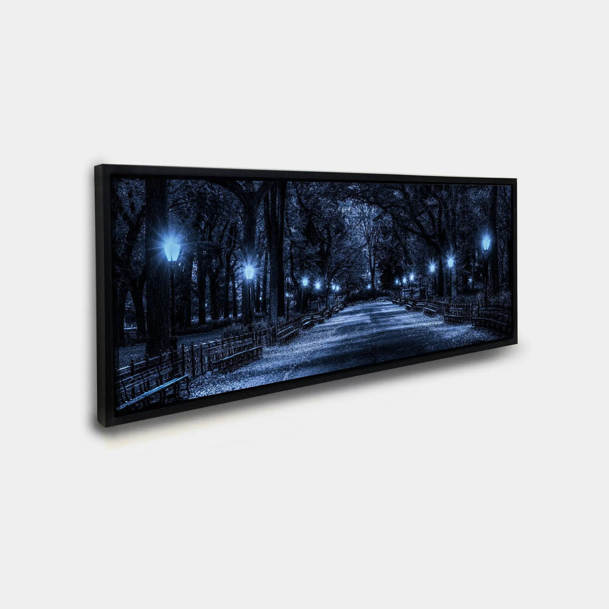 Central Park 72" x 24" Fine Art Canvas by GTA ART