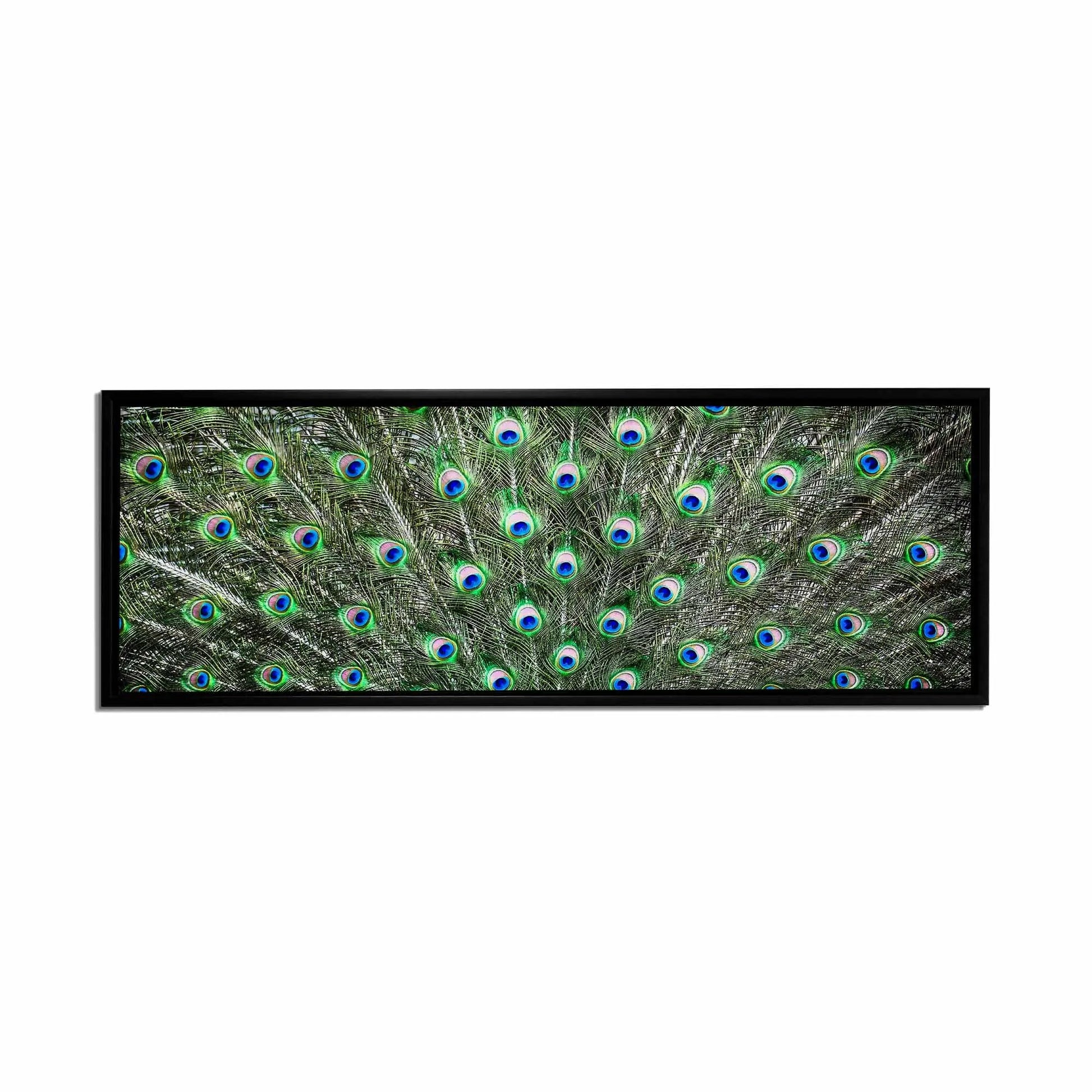 Large Canvas Wall art-Peacock Feathers-Nature Artwork by Gtaart.ca