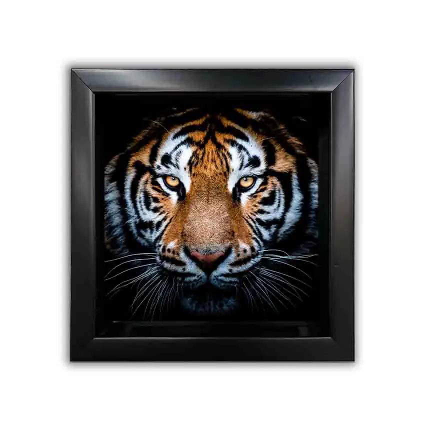 Set of 12 Framed Canvases by GTA ART