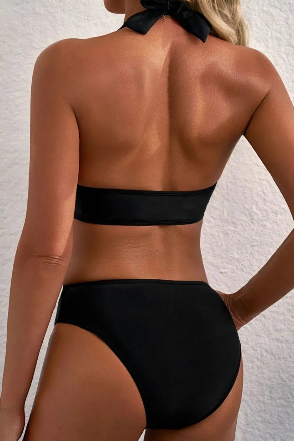 Sheer Mesh Edged Halter V Neck Push Up Bikini Set by Partner Label
