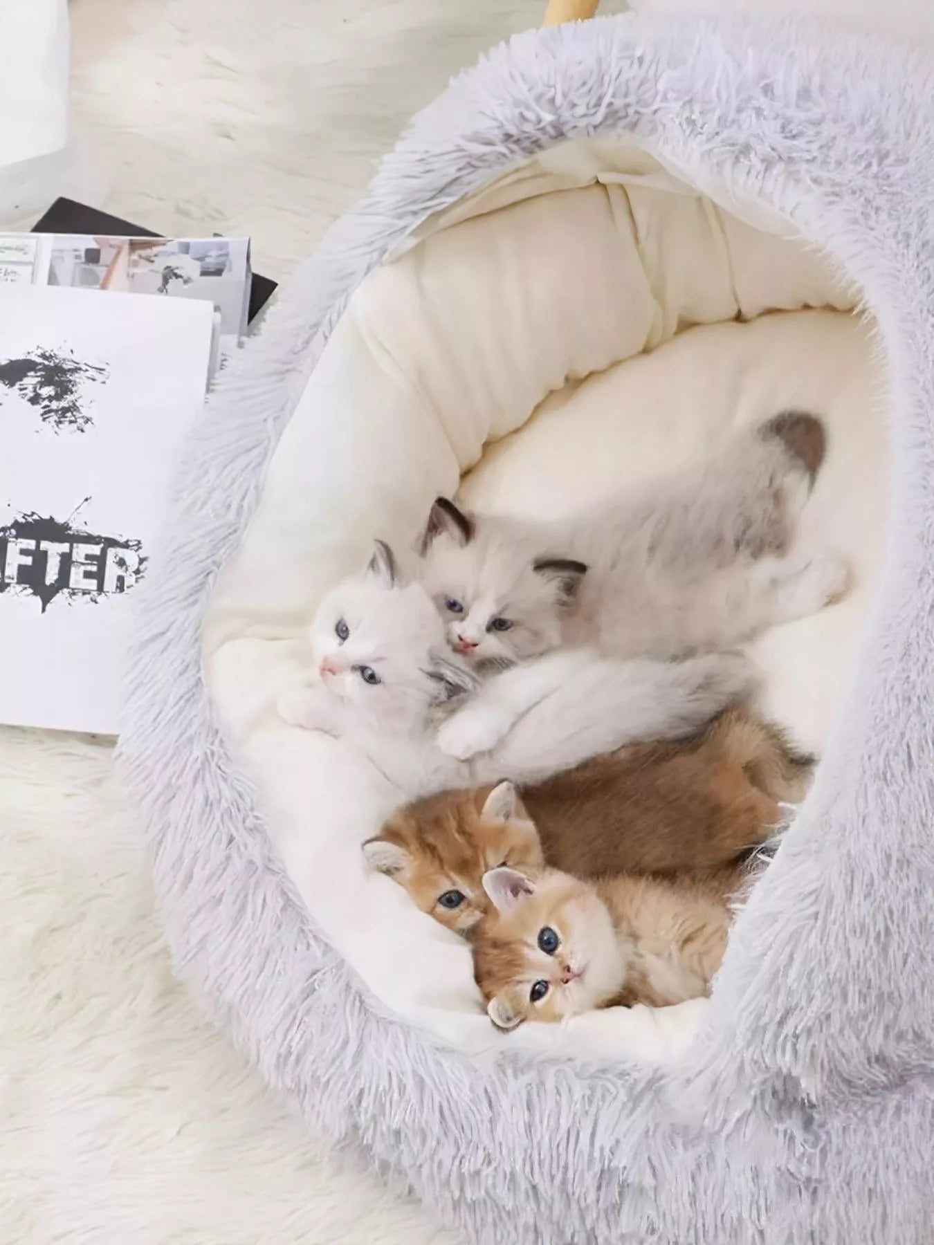 7de0b08b-557c-4c54-aa89-add6f10cc4e7-Max-Origin