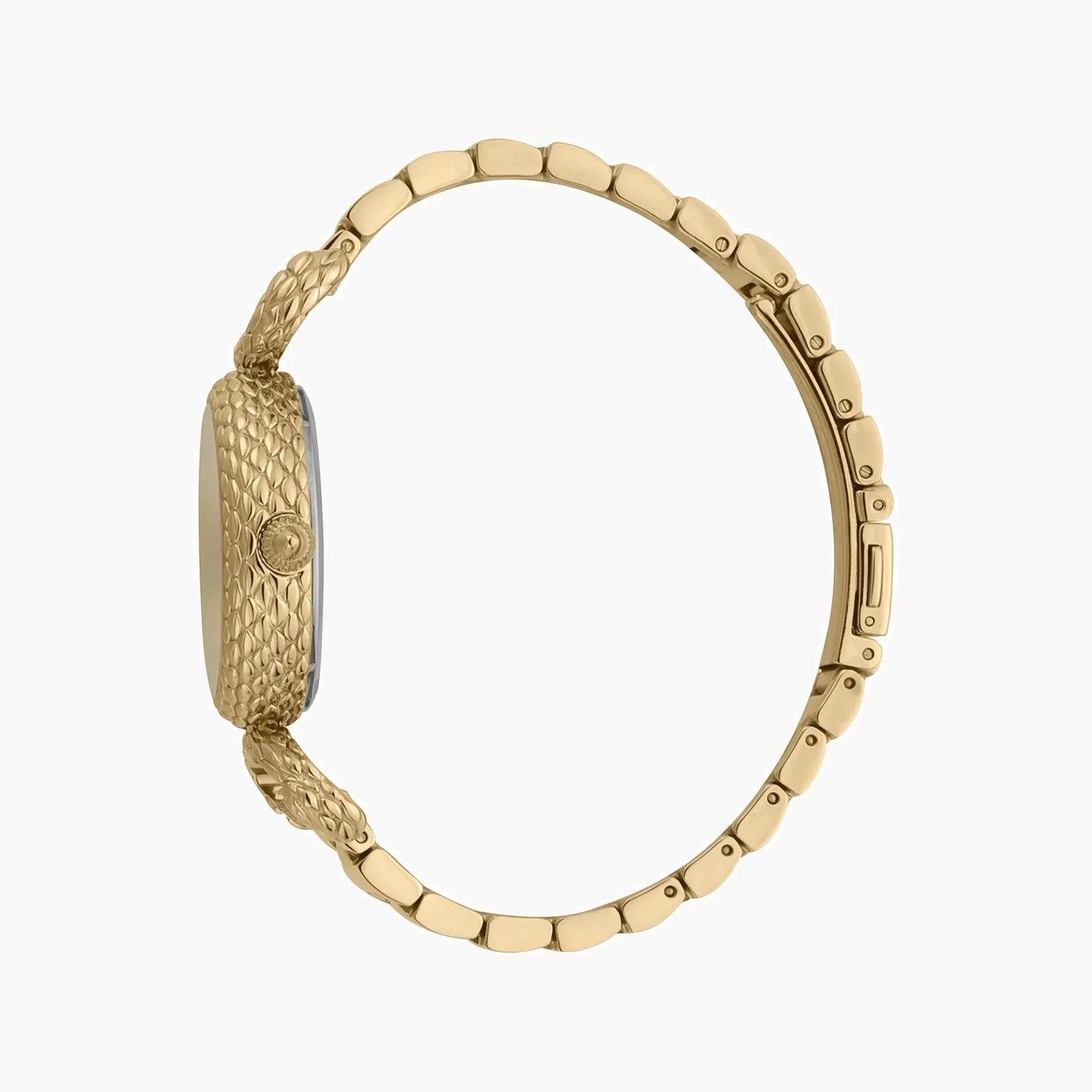 Just Cavalli Women's Gold Watch, Champagne Dial | Jc1l148m0065 by JUST CAVALLI
