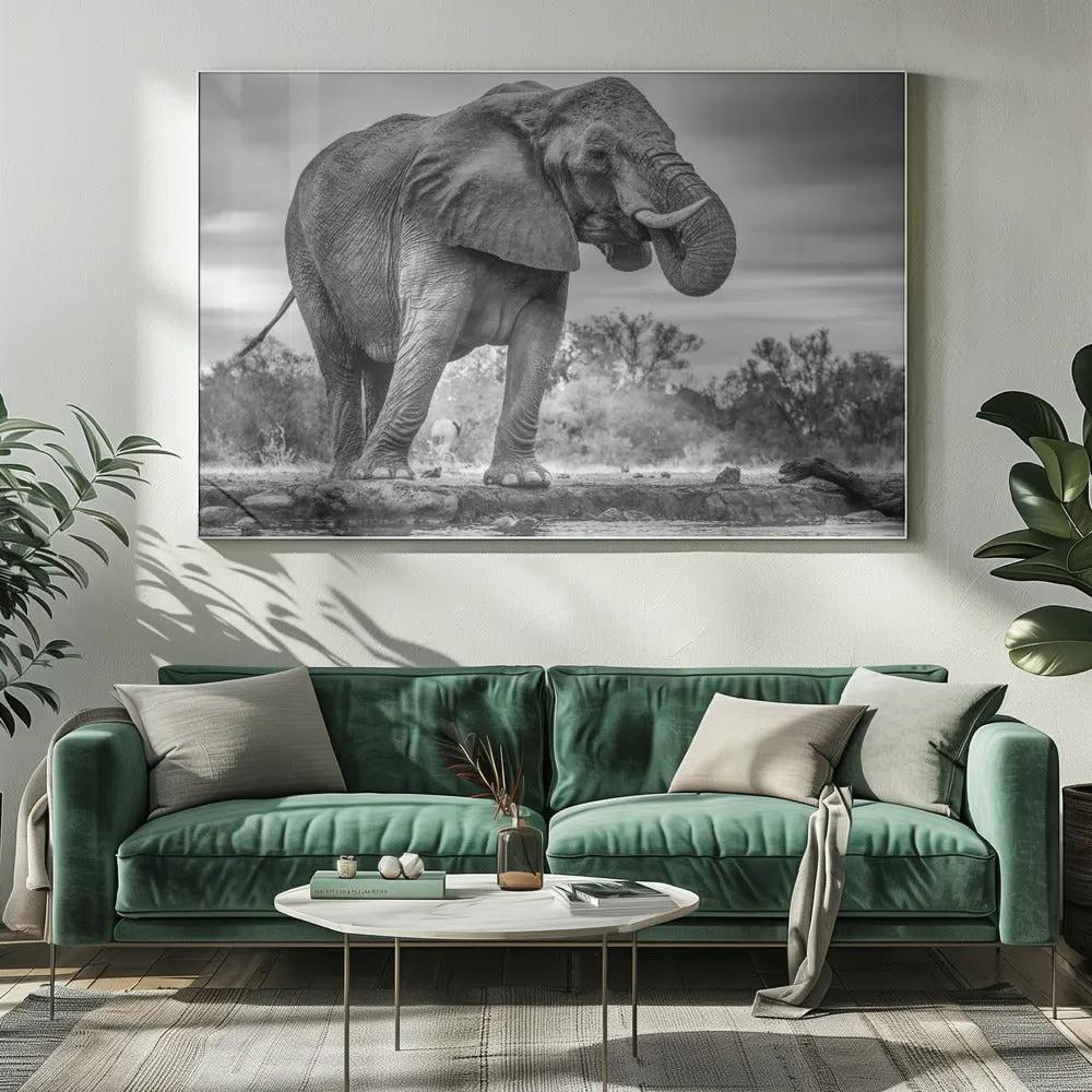 Wall art Standing Proud. Elephant by Jaco Marx