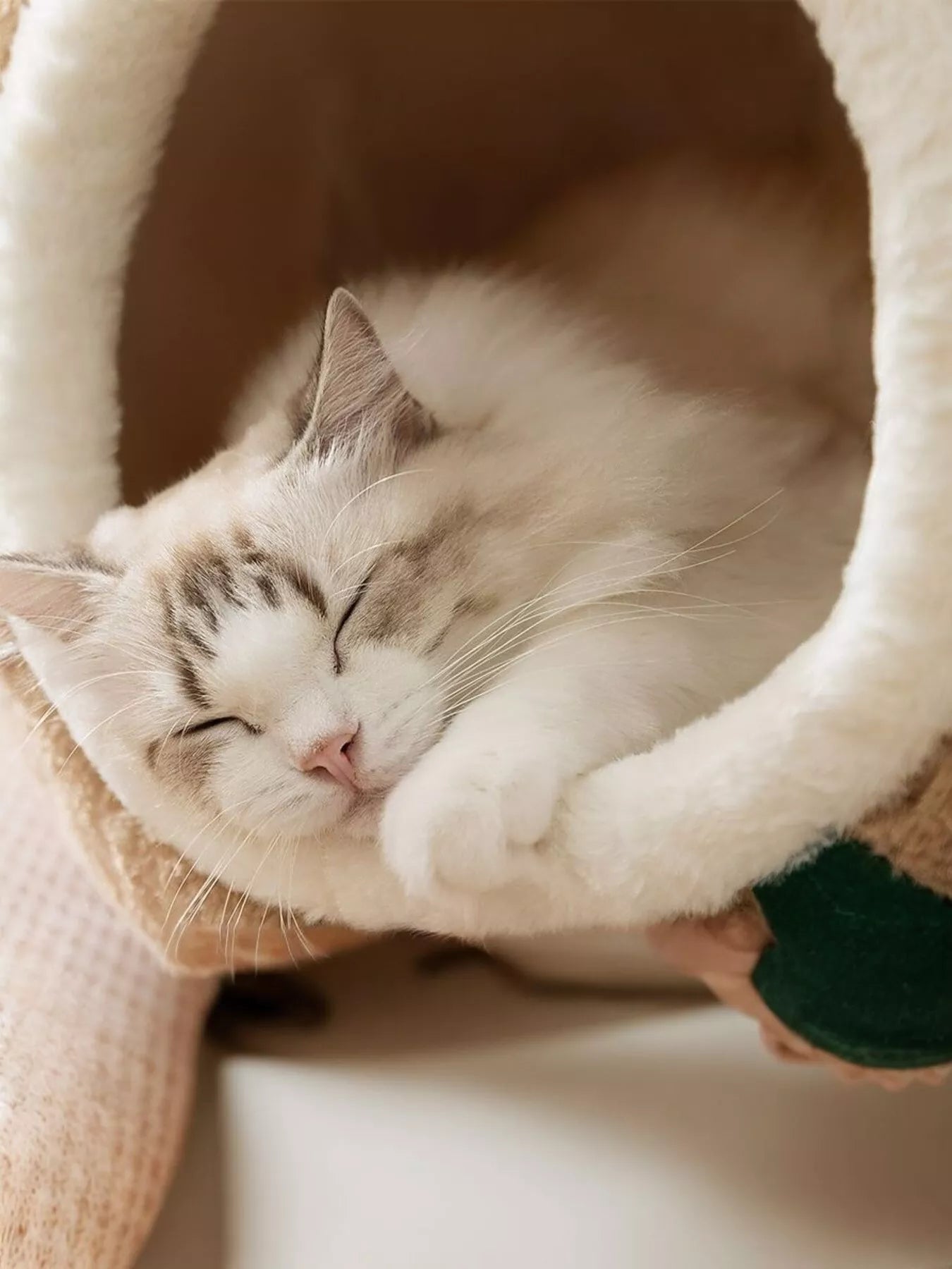 8e1187a65771443085e9f52bae6e5ae5-Max-Origin