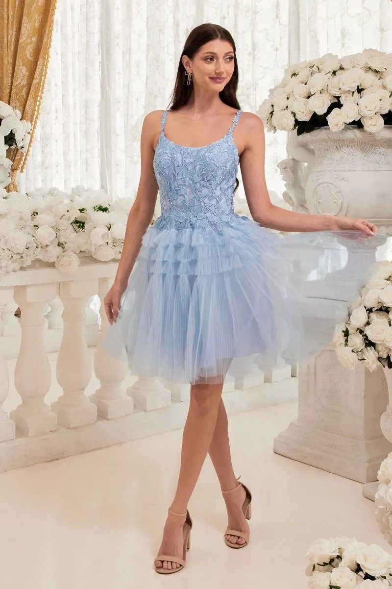 Pleated A-Line Short Dress by Tux-USA
