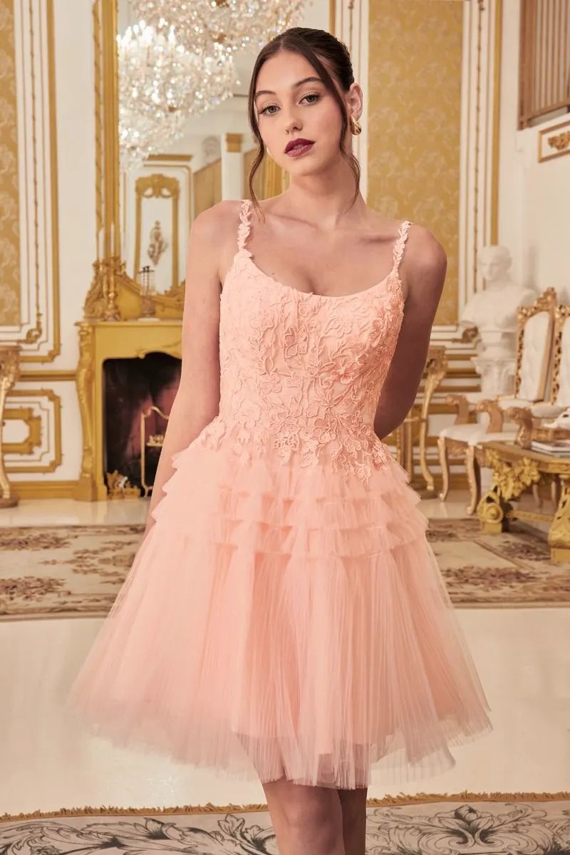 Pleated A-Line Short Dress by Tux-USA