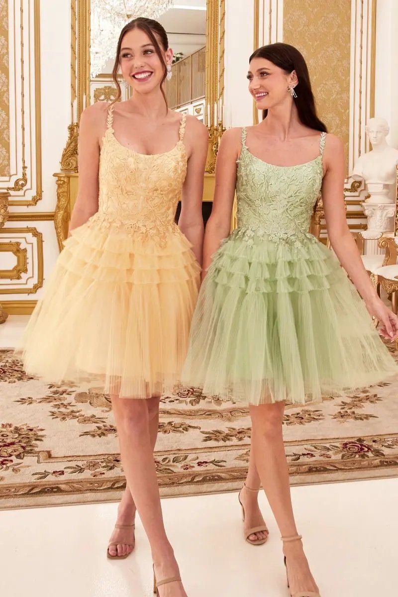 Pleated A-Line Short Dress by Tux-USA
