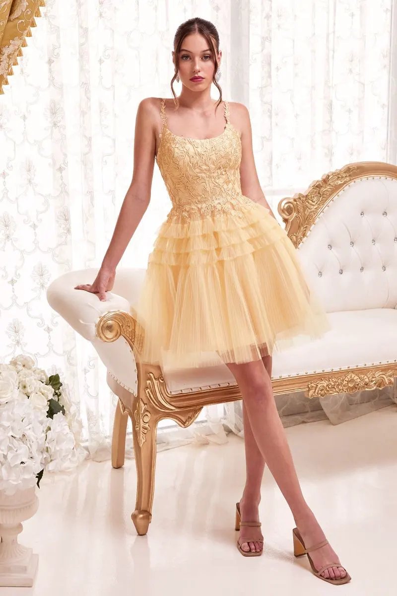 Pleated A-Line Short Dress by Tux-USA