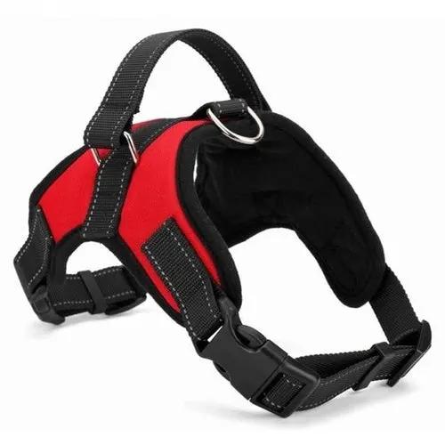 Adjustable Dog Harness 🐕‍🦺 Comfortable & Durable Pet Harness by Inland Leather