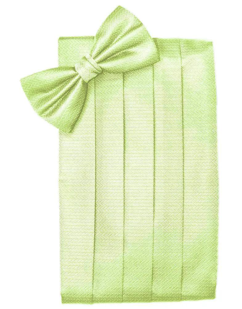 Set Herringbone Cummerbund & Bow Tie by Tux-USA