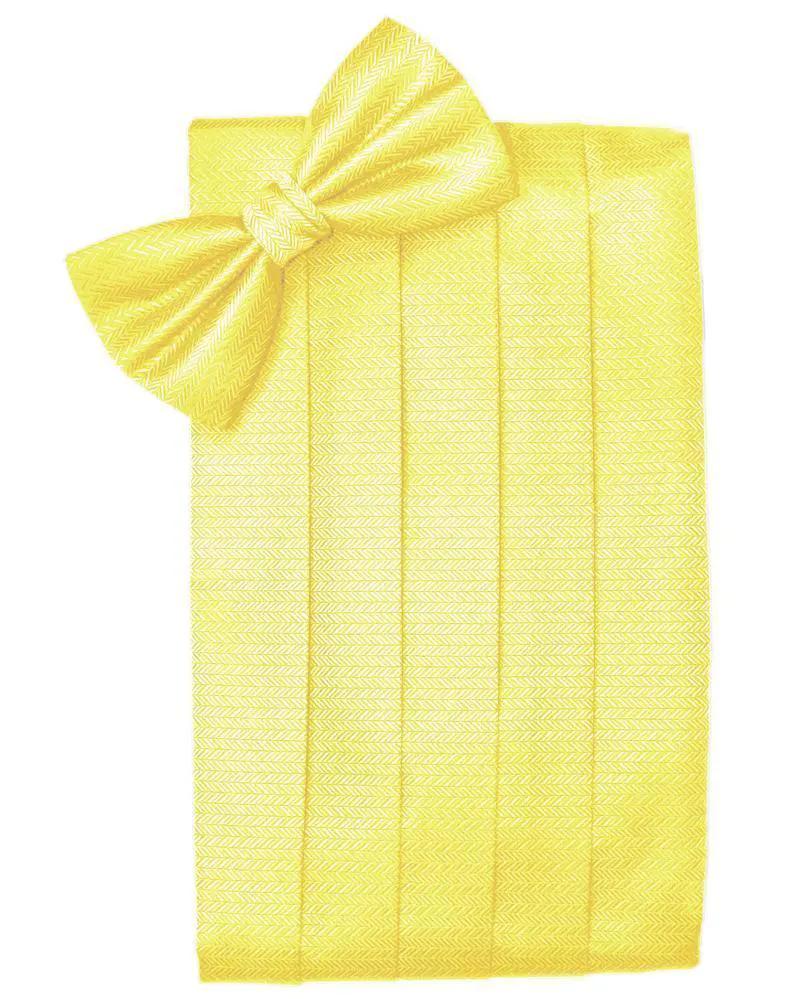 Set Herringbone Cummerbund & Bow Tie by Tux-USA