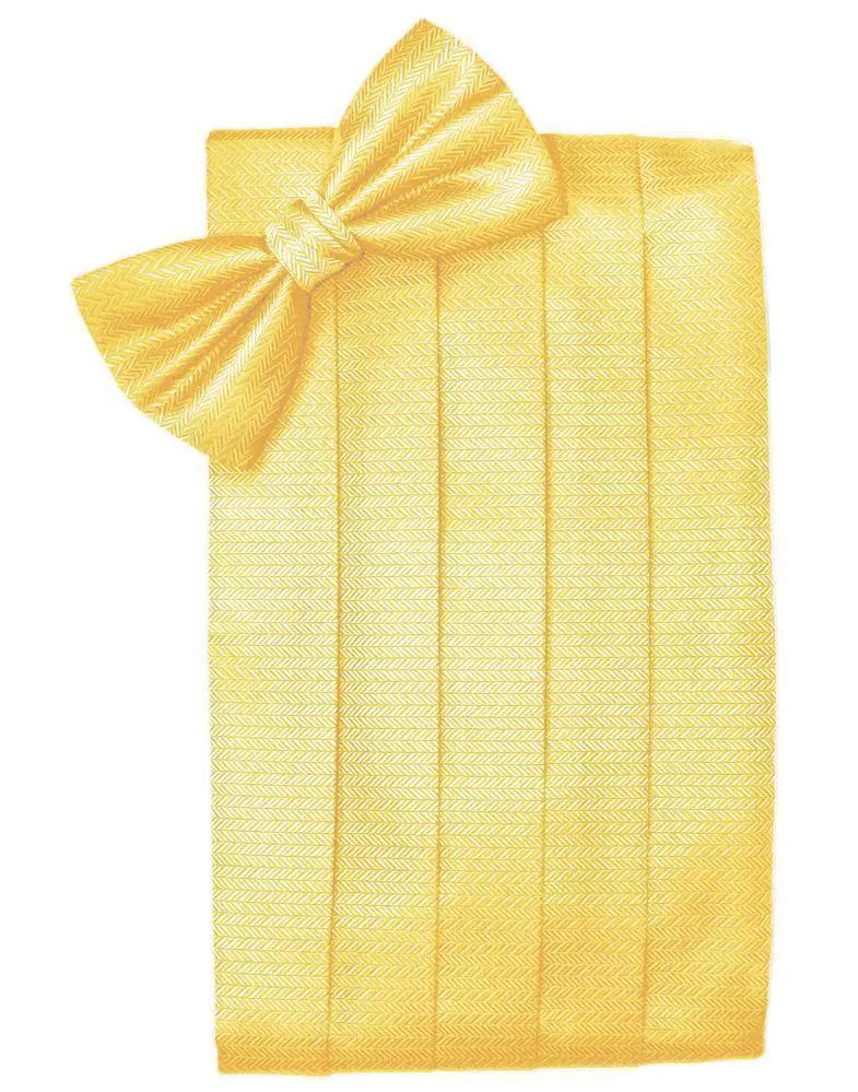 Set Herringbone Cummerbund & Bow Tie by Tux-USA