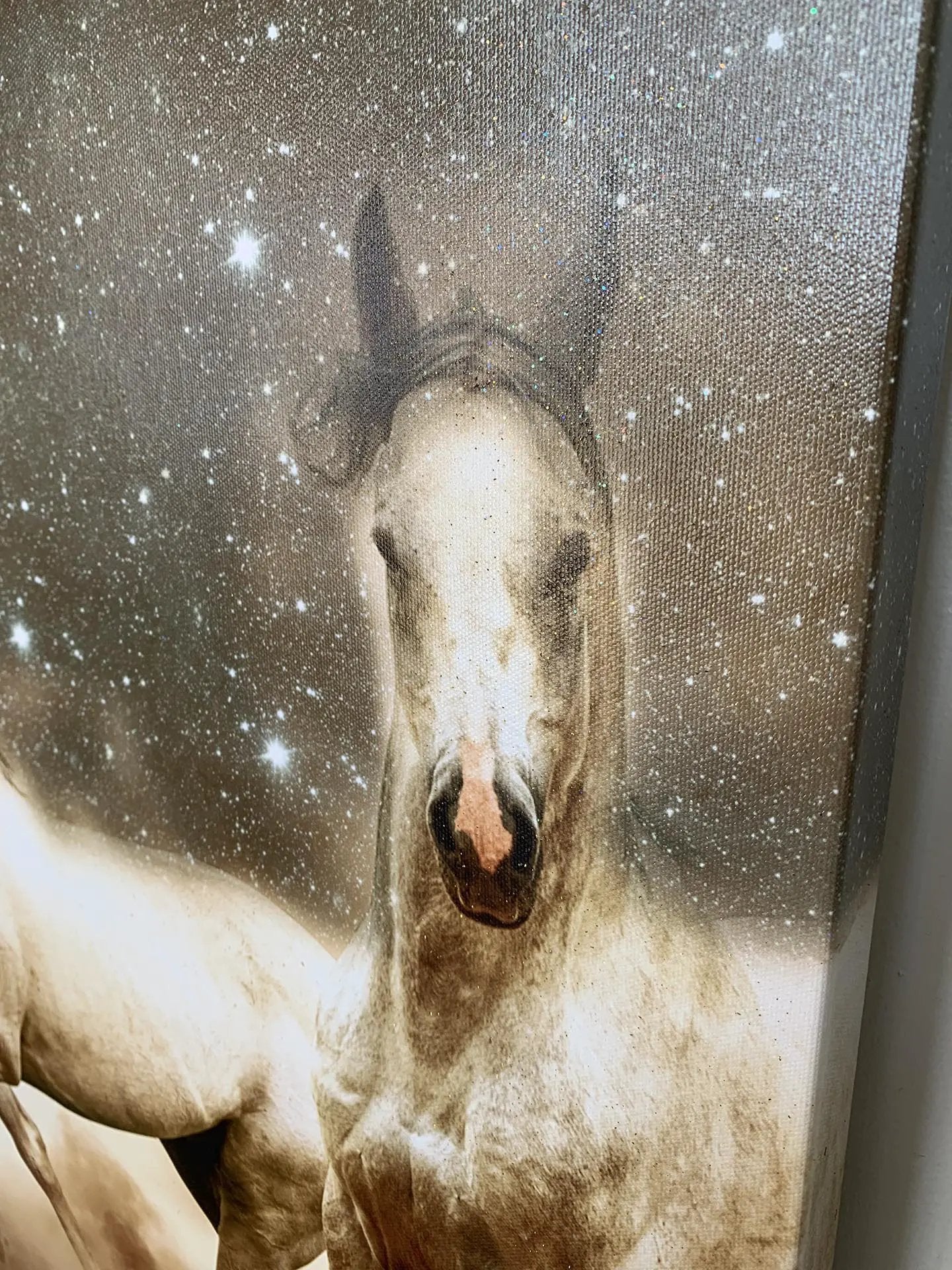 Genesis of a Unicorn Fine-Horse canvas-Wildlife Art-RGB varnish by Gtaart.ca