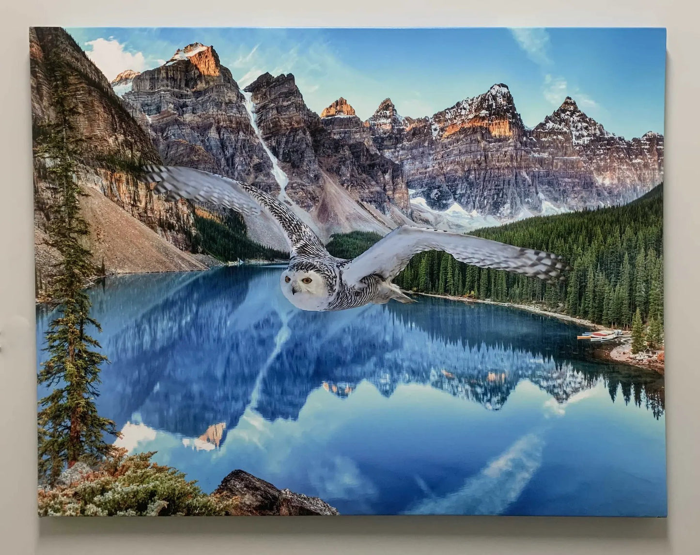 Canvas Wildlife Art-Snowy Owl at Banff-Printed Artwork by Gtaart.ca