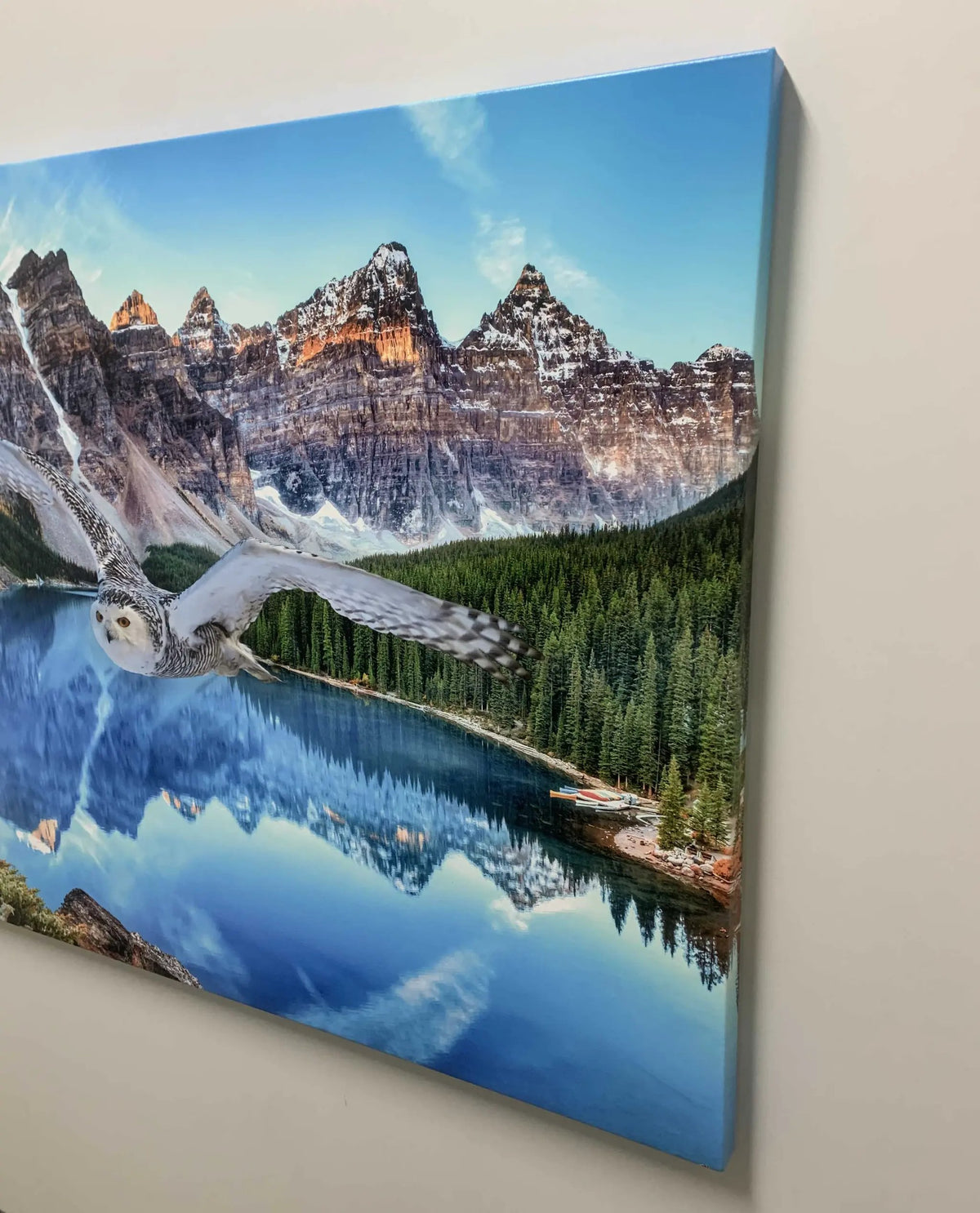 Canvas Wildlife Art-Snowy Owl at Banff-Printed Artwork by Gtaart.ca