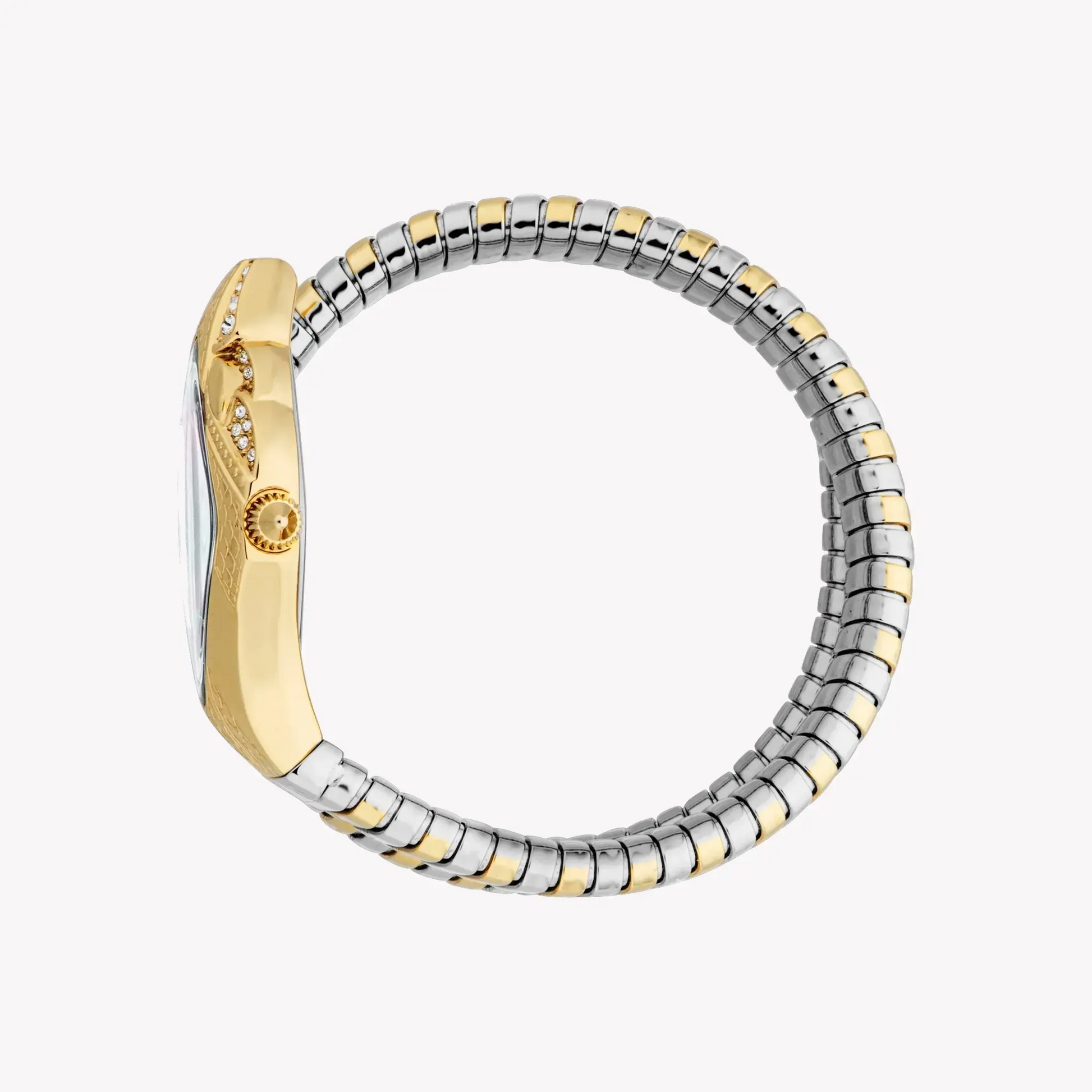 Just Cavalli Women's Two-Tone Gold Watch, Mother Of Pearls | Jc1l306m0065 by JUST CAVALLI