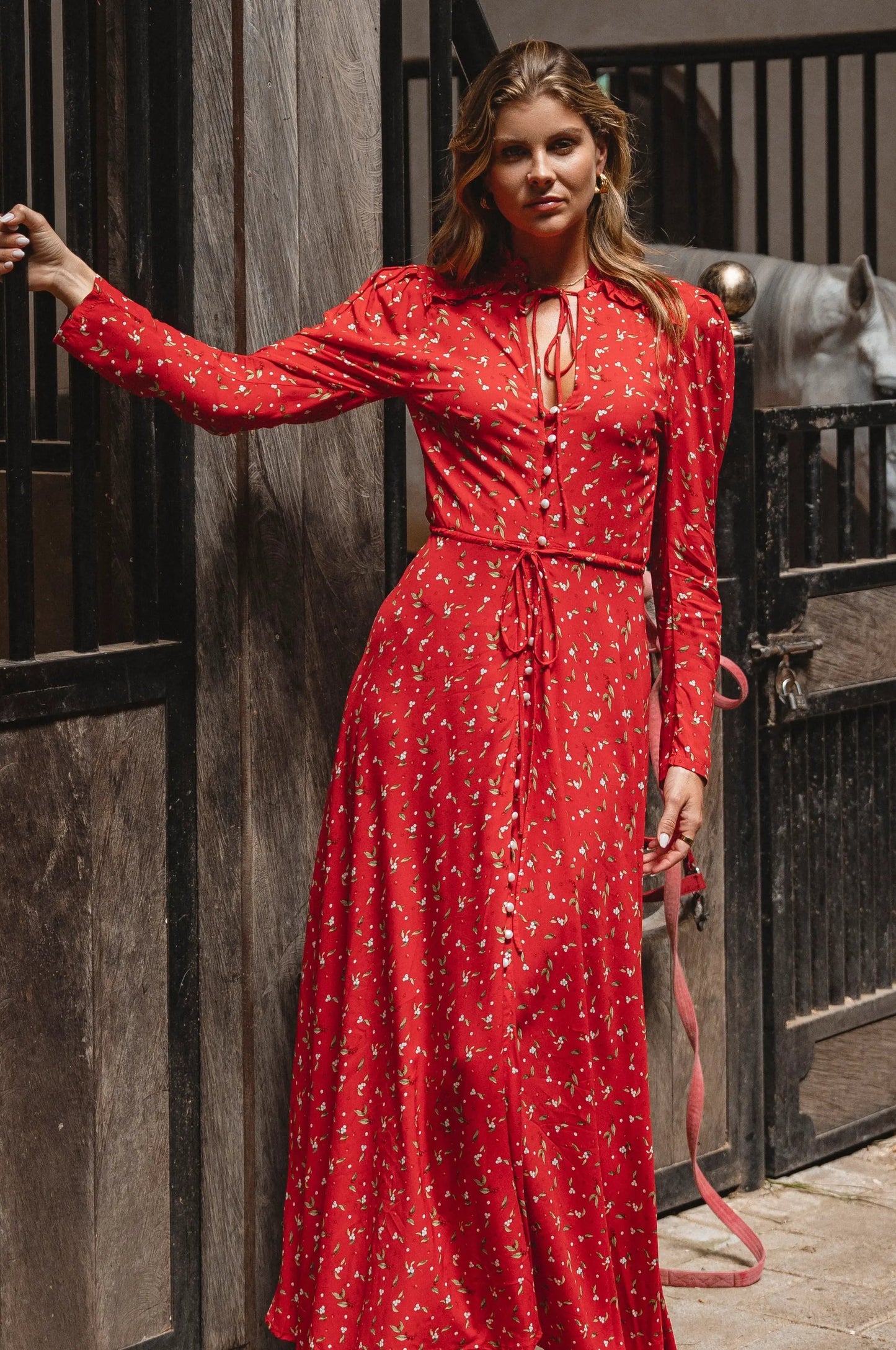 Poeme Long Sleeve Maxi Dress by ELF