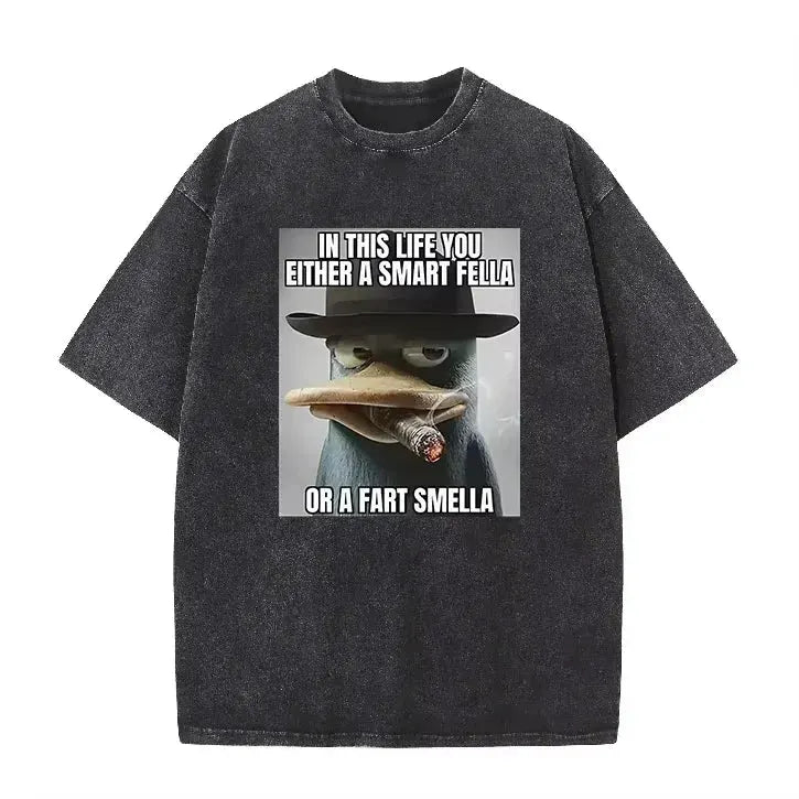 Retro Acid Wash Oversized T-shirt Funny Perry Platypus Meme Cartoon Print Casual Streetwear Tops by Vimost Shop