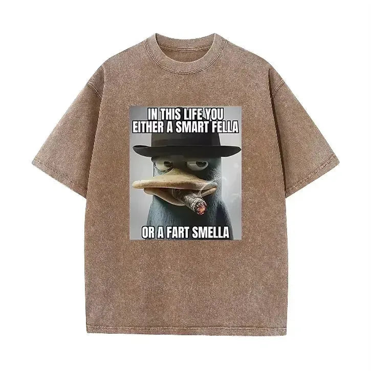 Retro Acid Wash Oversized T-shirt Funny Perry Platypus Meme Cartoon Print Casual Streetwear Tops by Vimost Shop