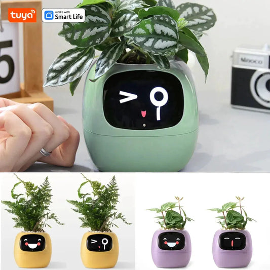Tuya Ivy Smart Planter,Endless Fun Over 49 Rich Expressions,7 smart sensors,AI Chips Make Raising Plants Easy and Fun by MAIDEN-ART