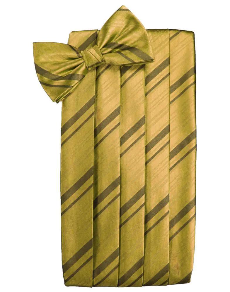 Kids Striped Satin Cummerbund by Tux-USA
