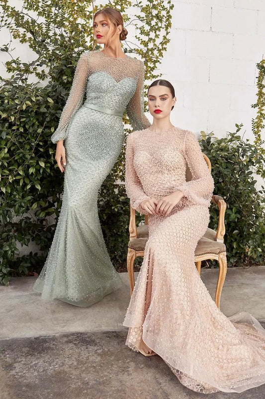 Pearled Long Sleeve Fit And Flare Iris Gown by Tux-USA