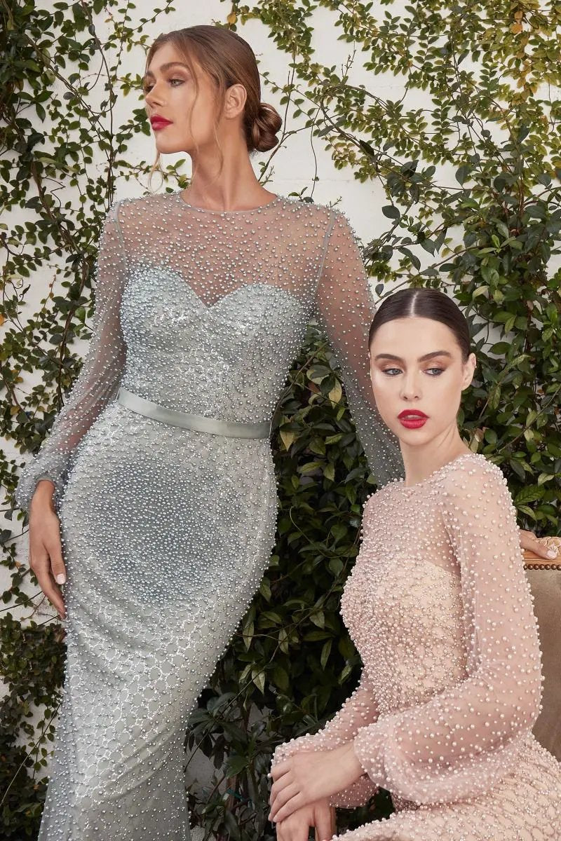Pearled Long Sleeve Fit And Flare Iris Gown by Tux-USA