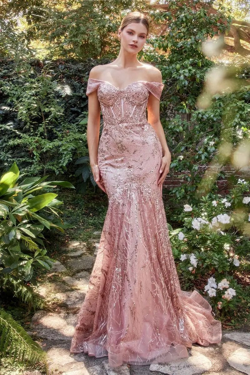 Off The Shoulder Lace Fit And Flare Gown by Tux-USA