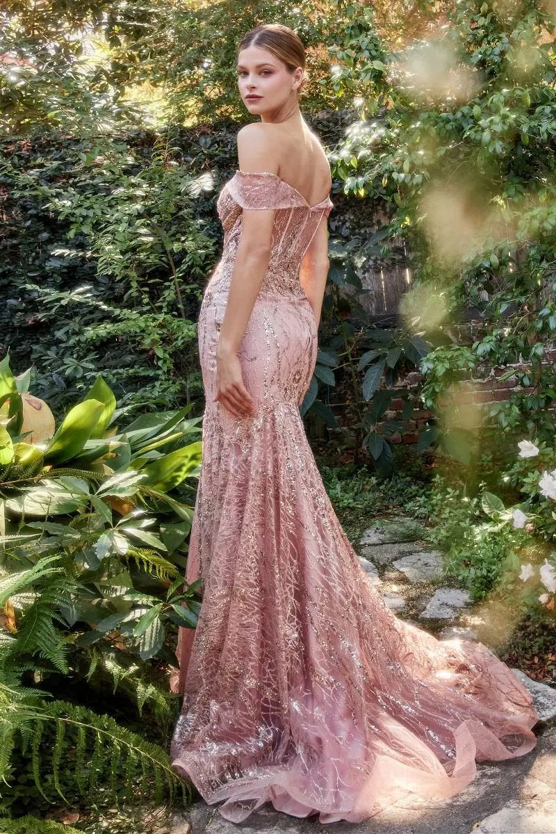 Off The Shoulder Lace Fit And Flare Gown by Tux-USA