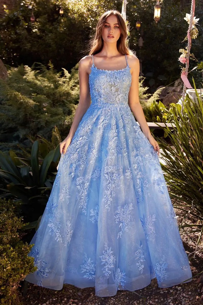 Lace Embellished A-Line Dress by Tux-USA