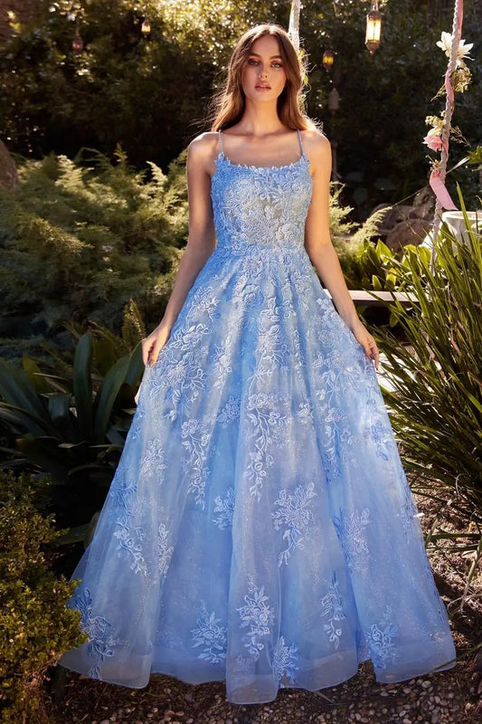 Lace Embellished A-Line Dress by Tux-USA