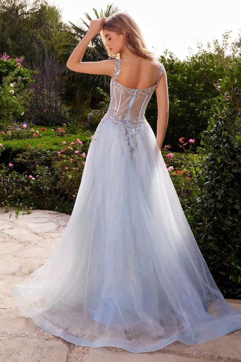 Embellished A-Line Tulle Ball Gown by Tux-USA