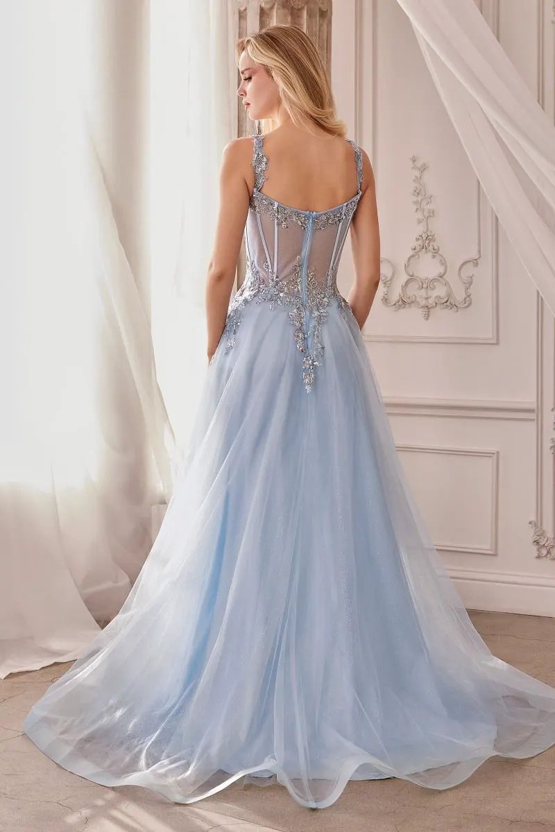 Embellished A-Line Tulle Ball Gown by Tux-USA