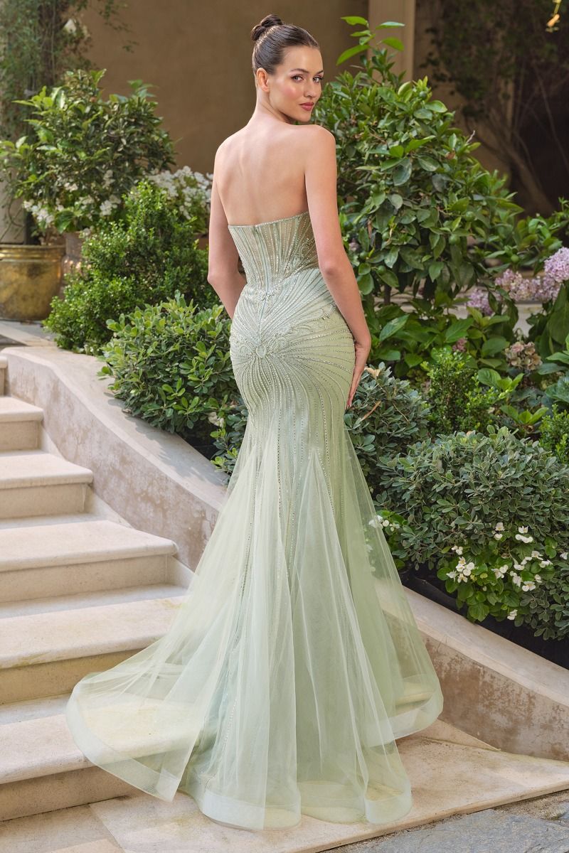 Strapless Tulle With Layered Mesh Train-1