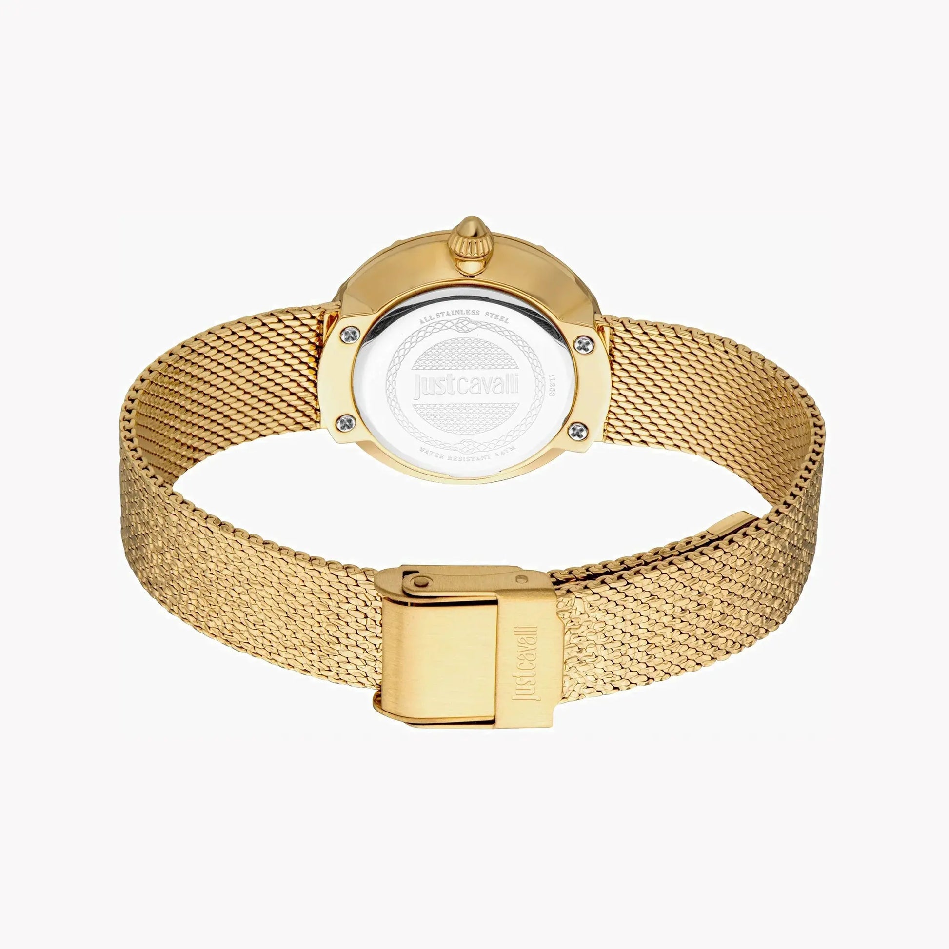 Just Cavalli Women's Gold Stainless Steel Watch, Turquoise Dial | Jc1l253m0065 by JUST CAVALLI