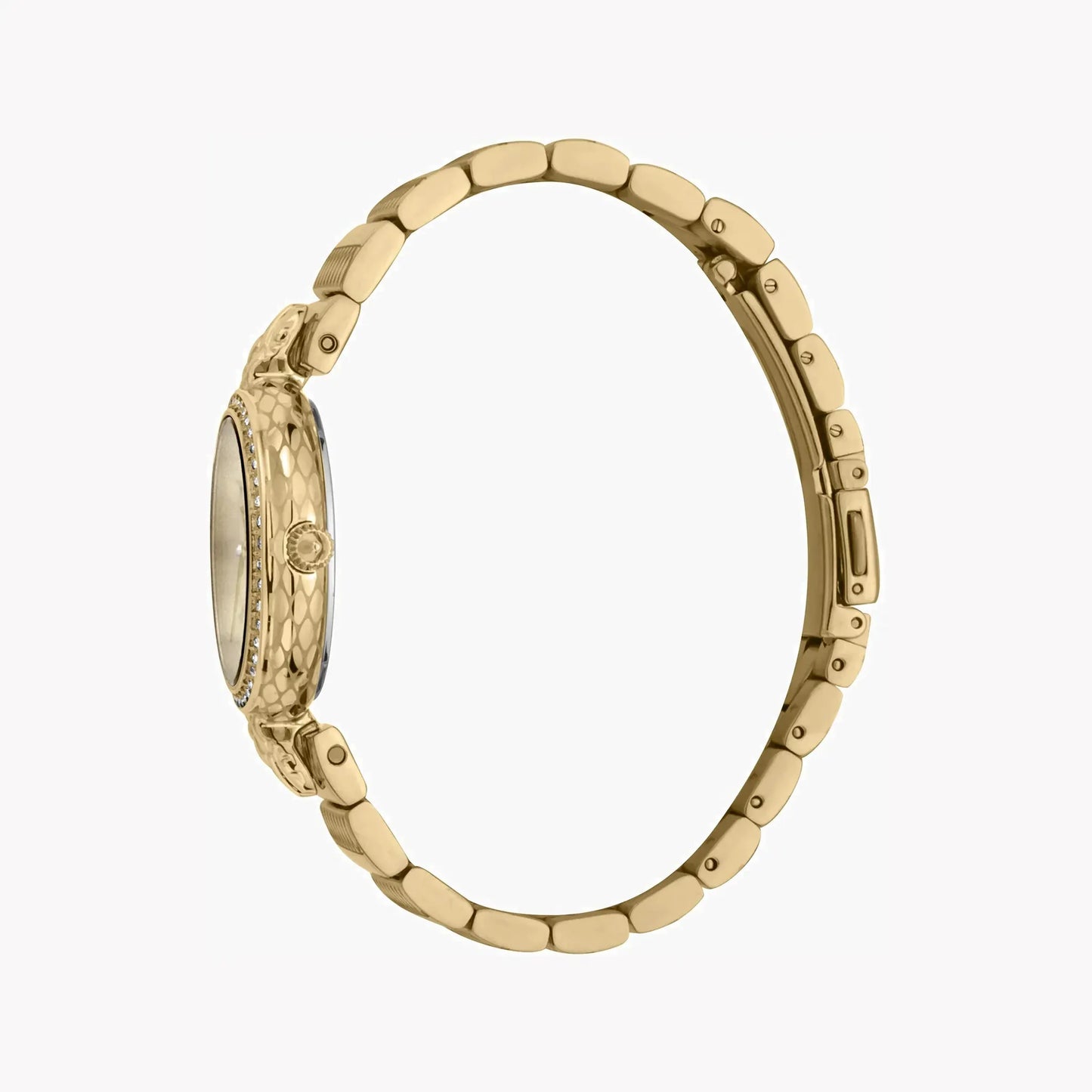 Just Cavalli Women's Gold Stainless Steel Watch, Champagne Dial | Jc1l147m0055 by JUST CAVALLI