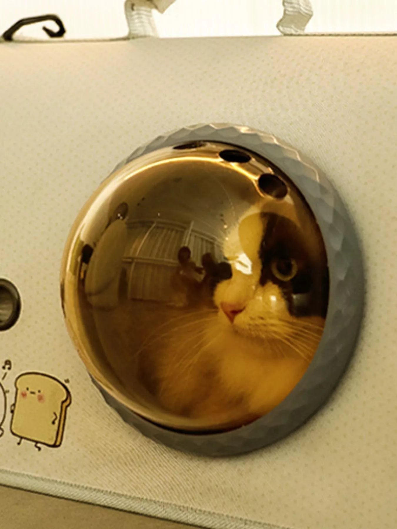 b2e53bdf4539471cb46b9f8d9b9de8cd-Max-Origin